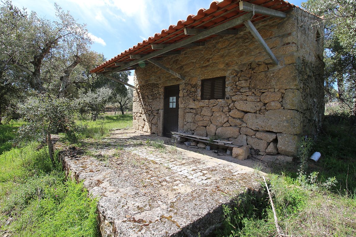 Terreno  à venda em Juncal do Campo