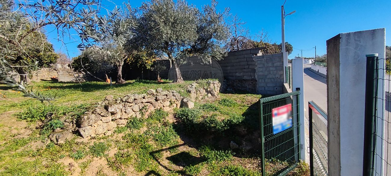 Terreno  à venda em Castelo Branco