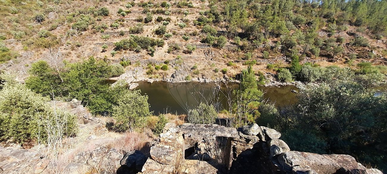 Terreno  à venda em Castelo Branco