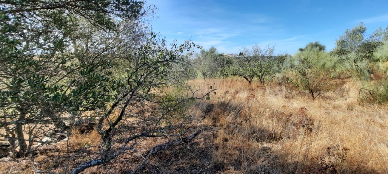 Terreno  para venda