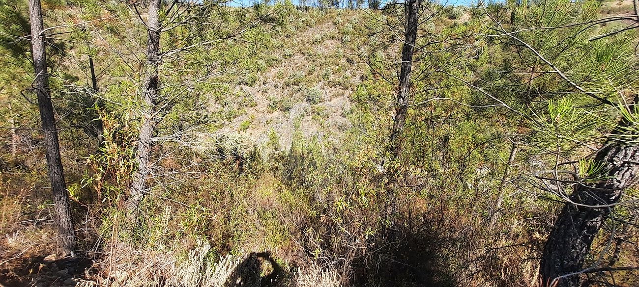 Terreno  à venda em Castelo Branco