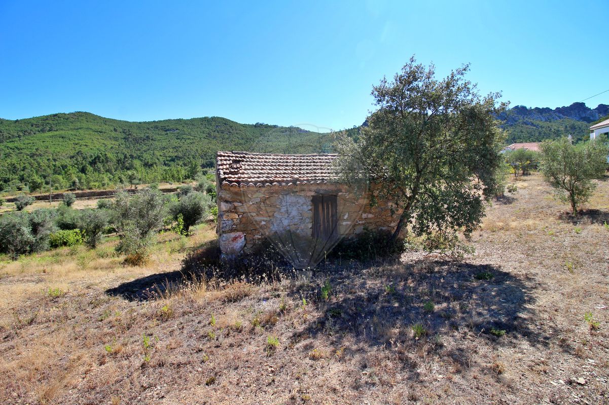 Terreno para venda