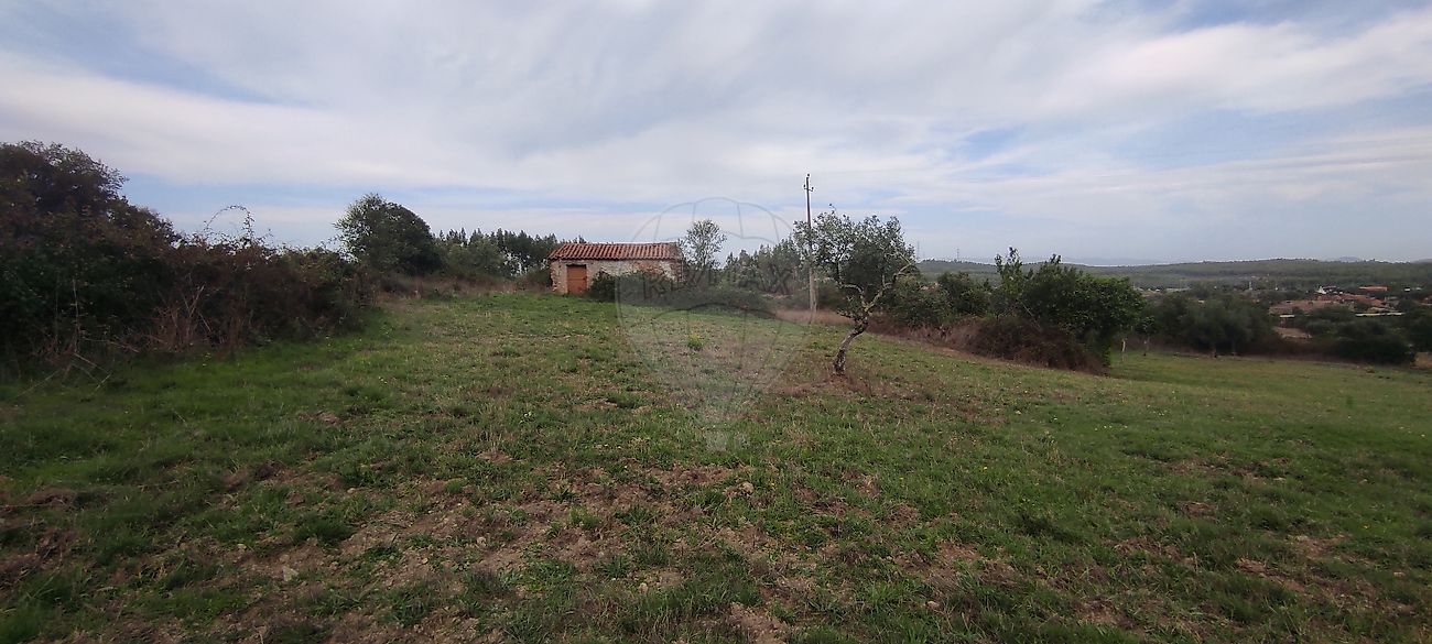 Terreno  para venda