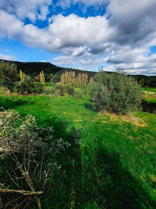 listing 124351039-3 picture-0