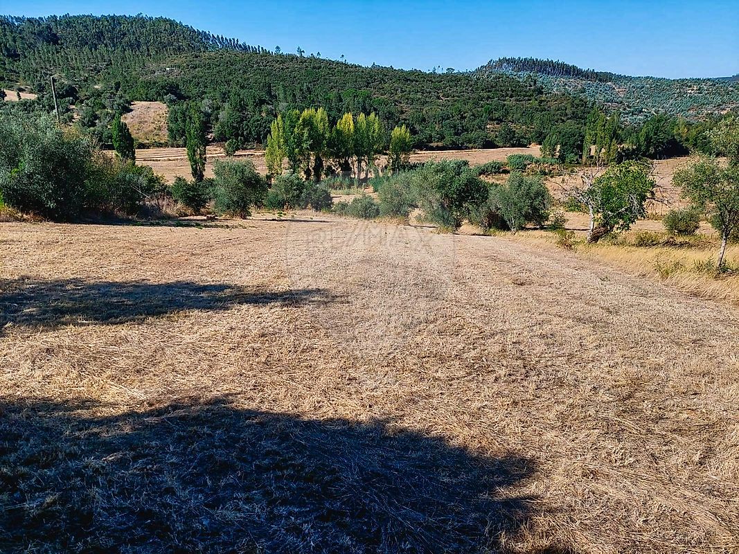 listing 124351039-3 picture-0