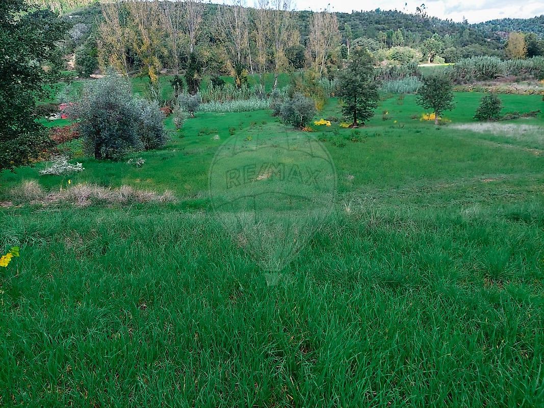 listing 124351039-3 picture-0