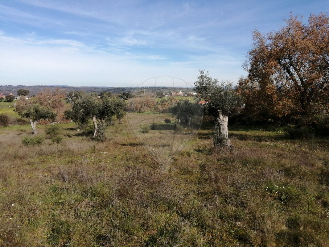 Terreno para venda