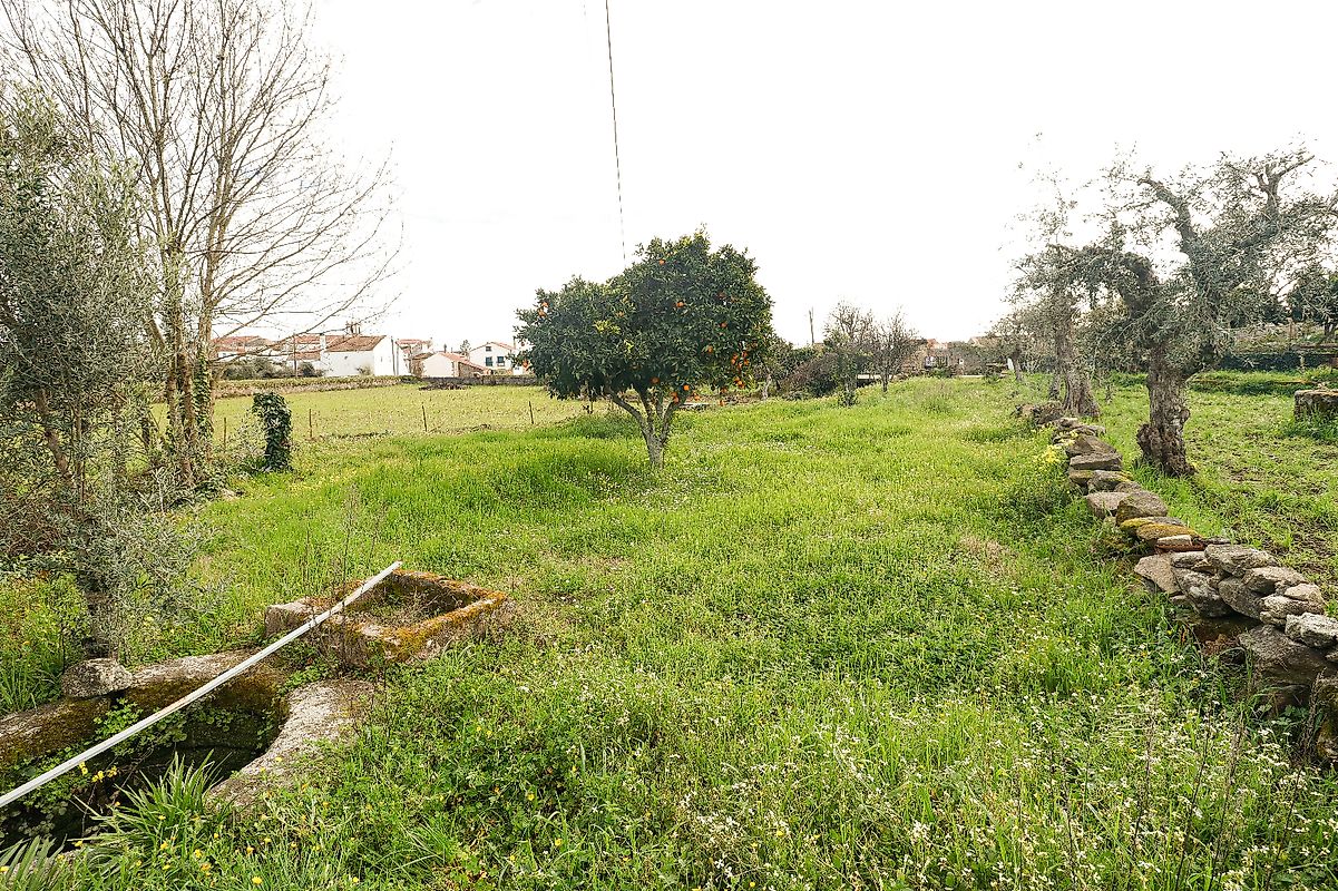 Terreno à venda em Castelo Branco