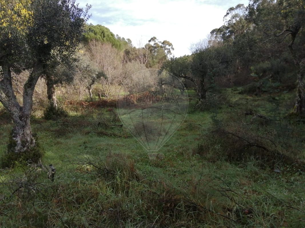 TODO
