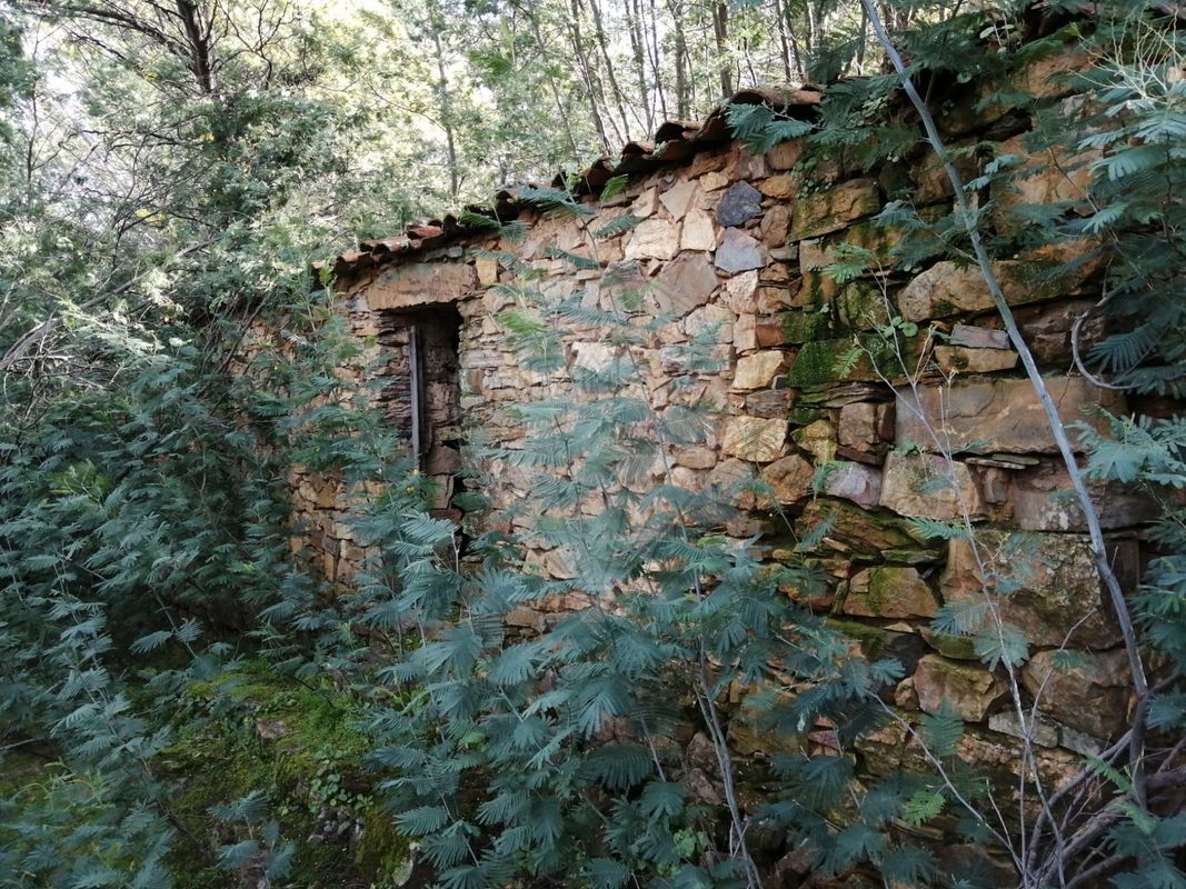 Terreno para venda