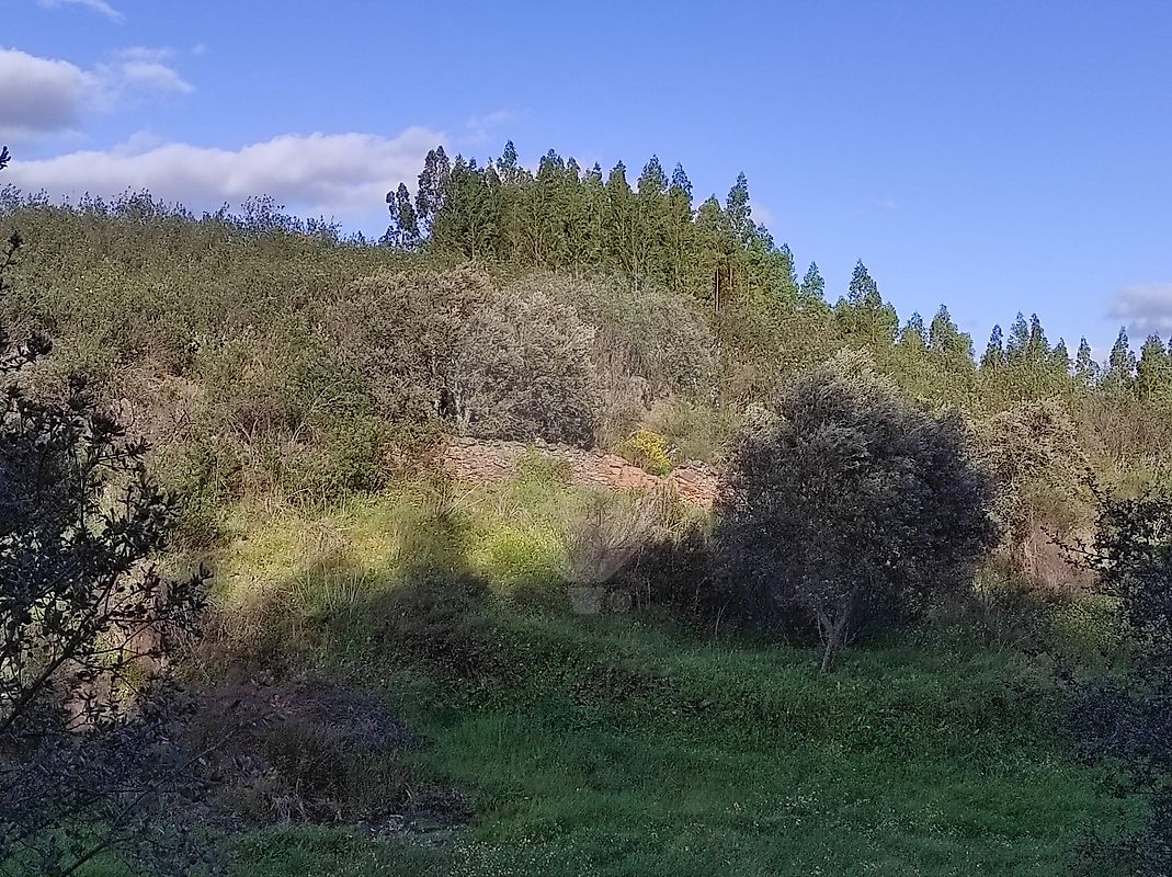 TODO