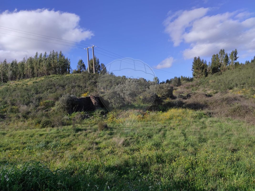 Terreno  para venda