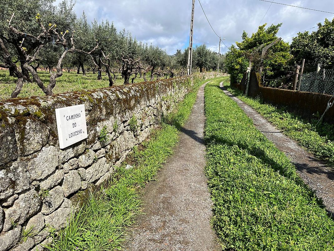 Terreno  à venda em Fundão