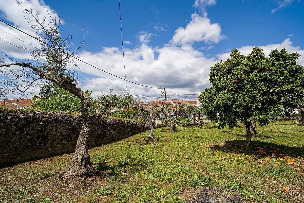 Moradia T3 à venda em Ninho do Açor e Sobral do Campo, Castelo Branco — foto 35
