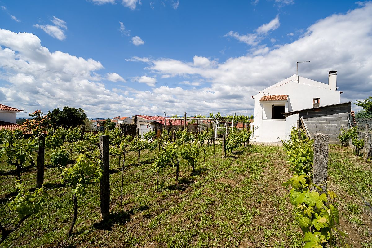 Moradia T3 à venda em Ninho do Açor e Sobral do Campo, Castelo Branco — foto 25