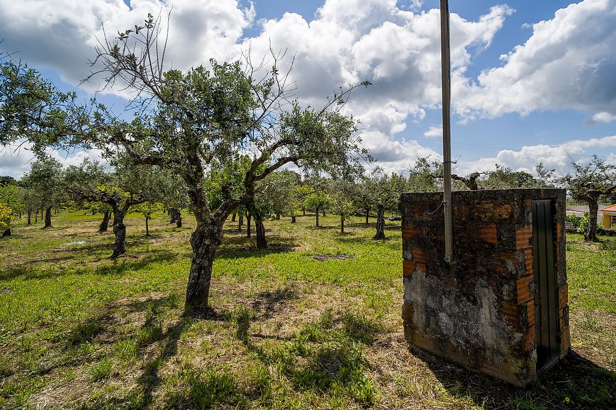 Moradia T3 à venda em Ninho do Açor e Sobral do Campo, Castelo Branco — foto 32