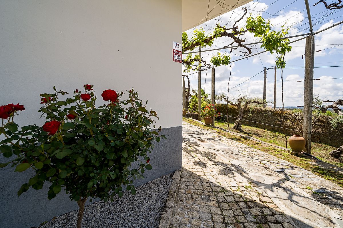 Moradia T3 à venda em Ninho do Açor e Sobral do Campo, Castelo Branco — foto 23