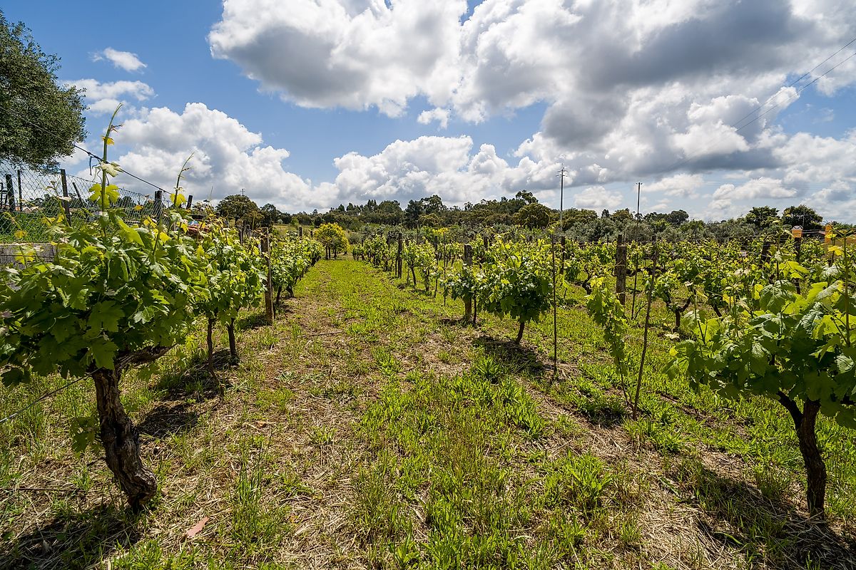 Moradia T3 à venda em Ninho do Açor e Sobral do Campo, Castelo Branco — foto 27