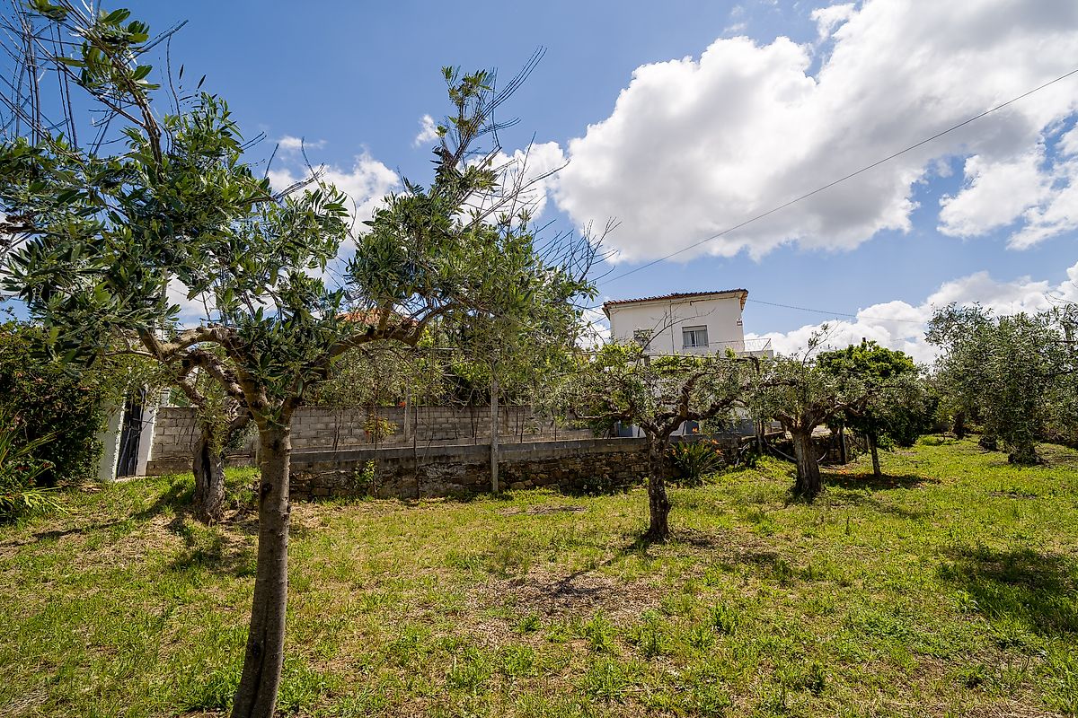 Moradia T3 à venda em Ninho do Açor e Sobral do Campo, Castelo Branco — foto 33