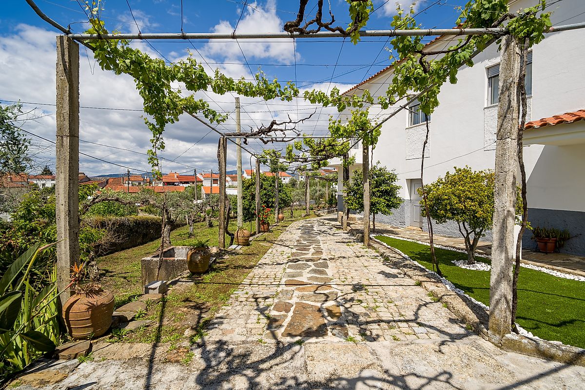 Moradia T3 à venda em Ninho do Açor e Sobral do Campo, Castelo Branco — foto 24