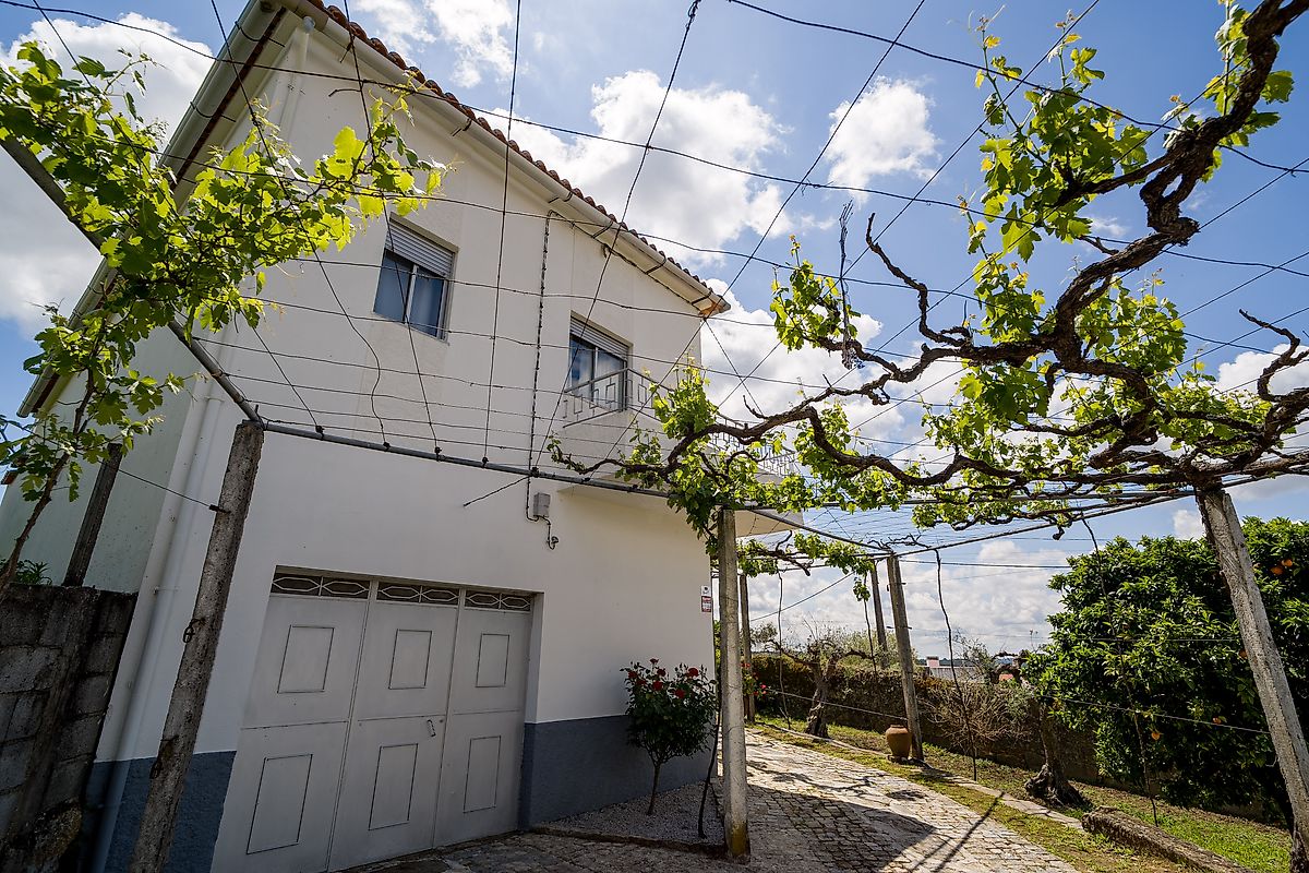 Moradia T3 à venda em Ninho do Açor e Sobral do Campo, Castelo Branco — foto 19