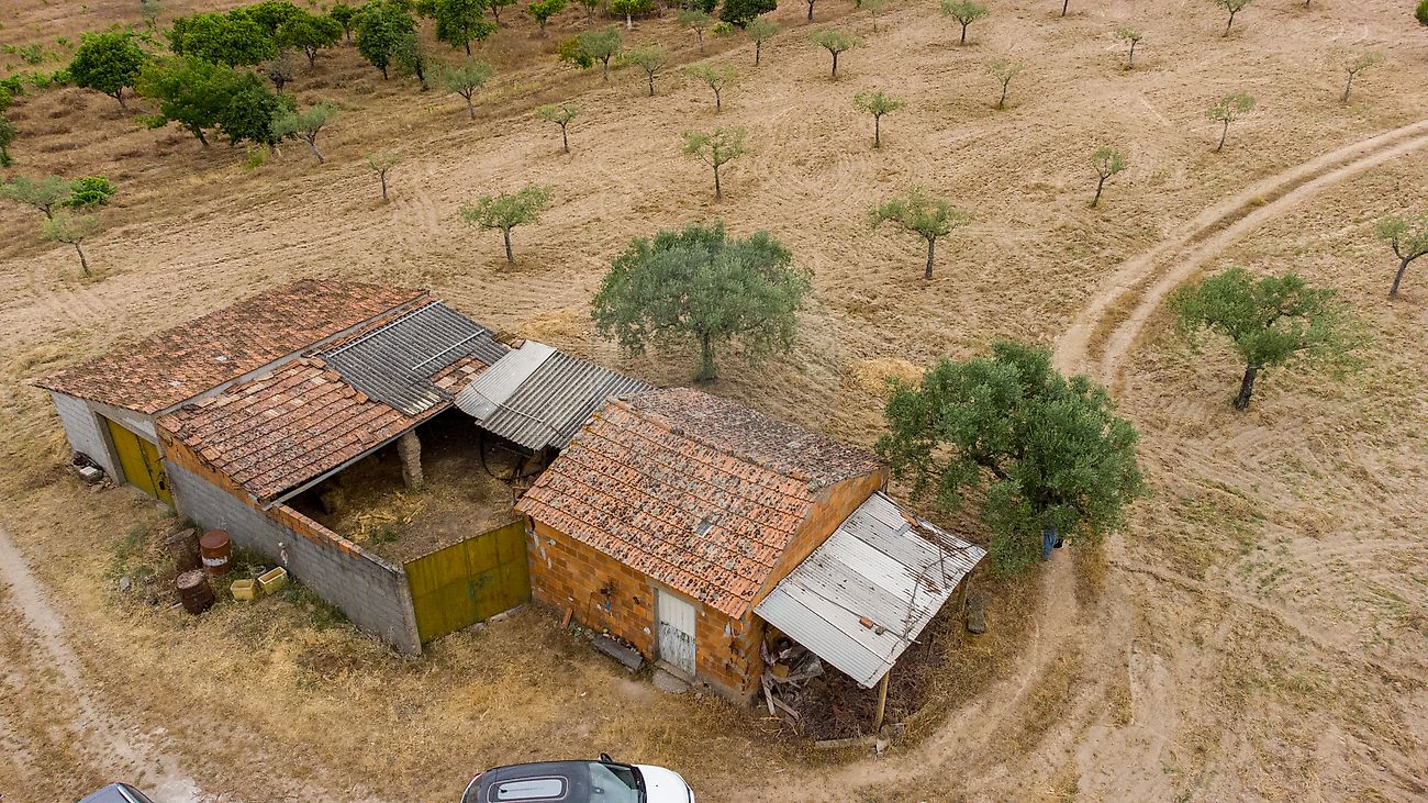 Terreno à venda em Castelo Branco