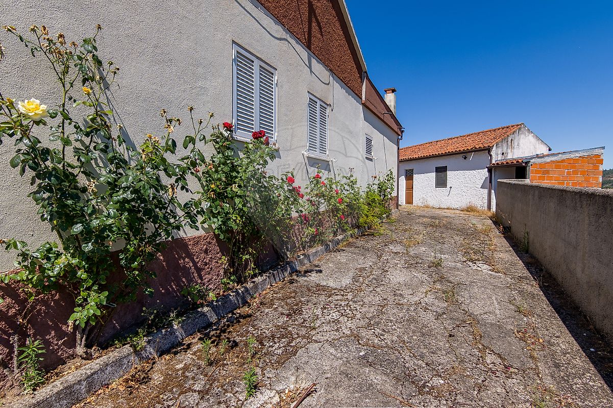 listing 124351025-259 picture-0