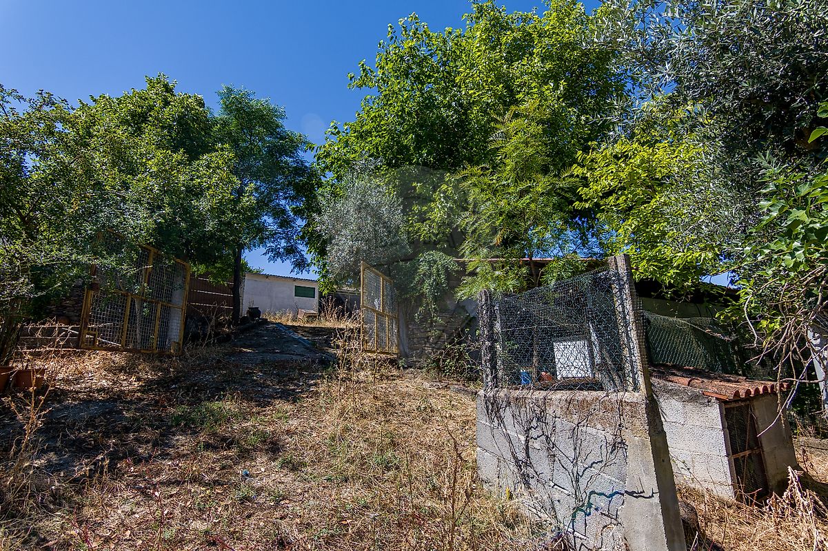 listing 124351025-259 picture-0