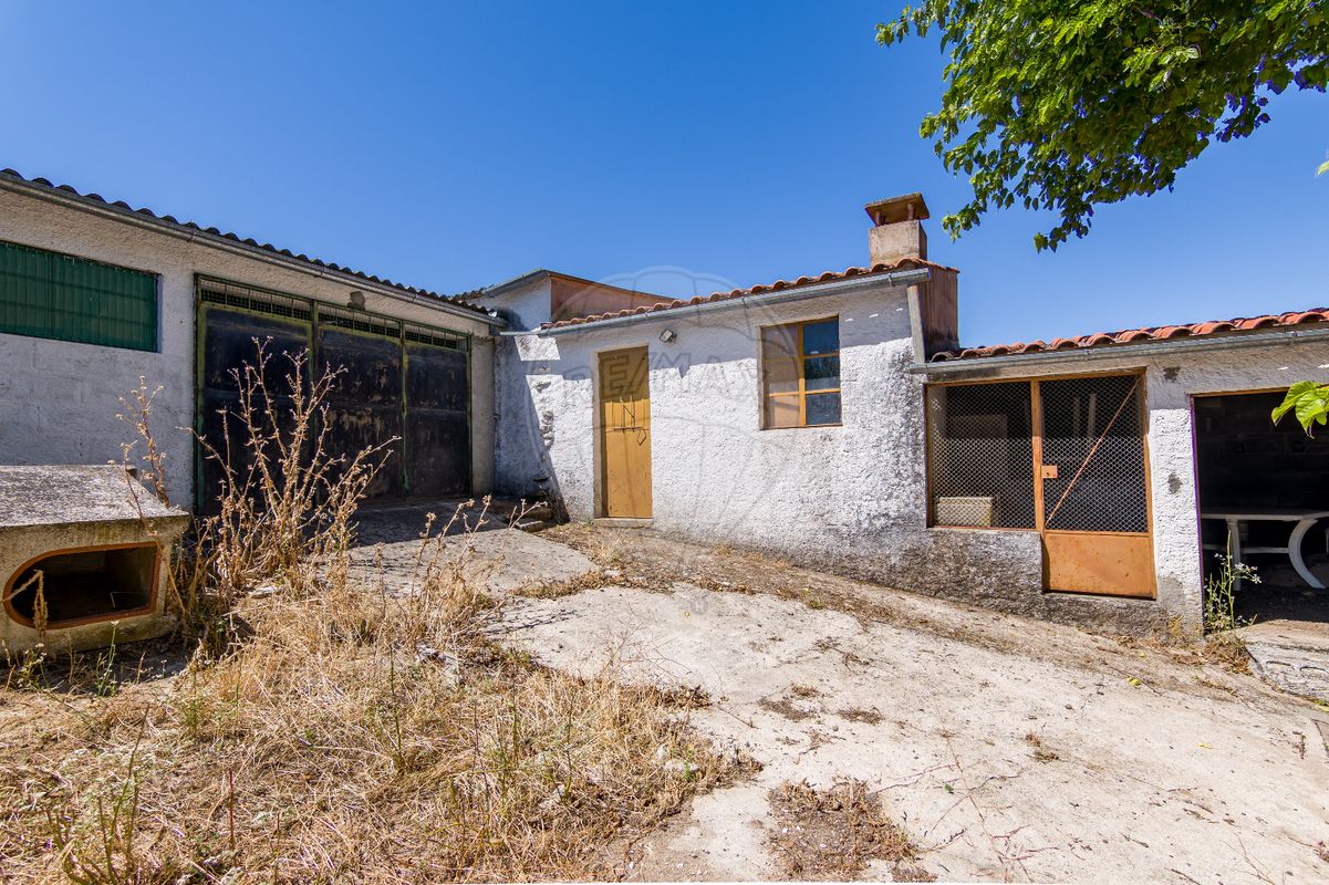 listing 124351025-259 picture-0