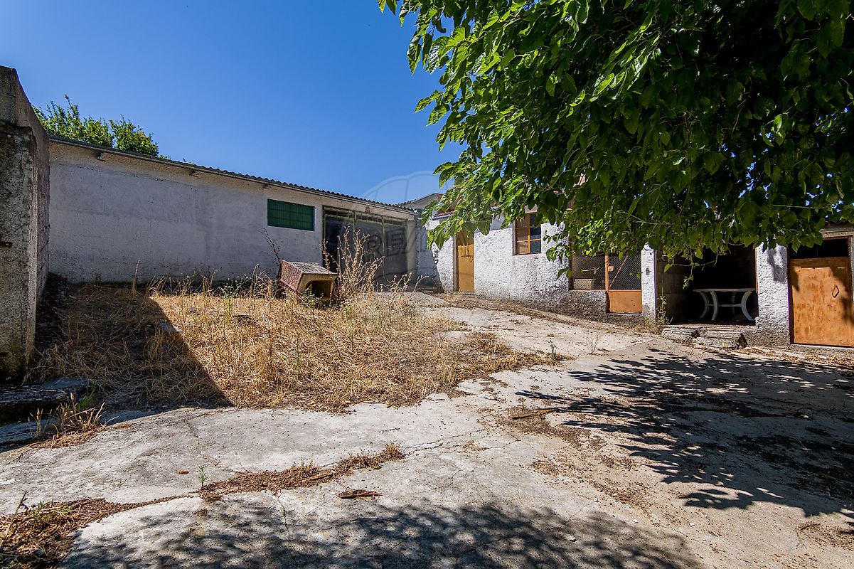 listing 124351025-259 picture-0