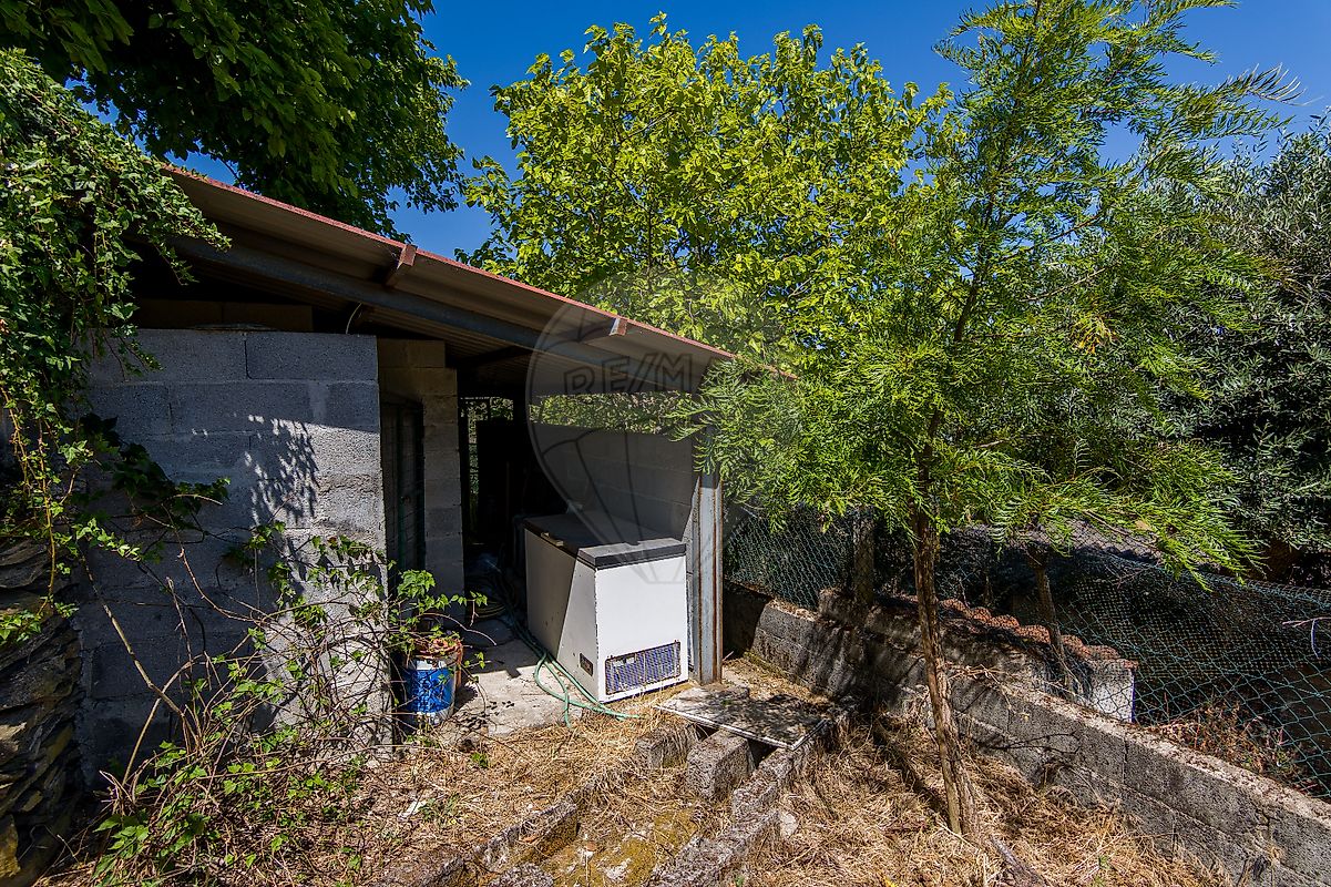 listing 124351025-259 picture-0