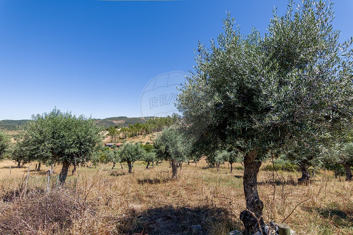 listing 124351025-259 picture-0