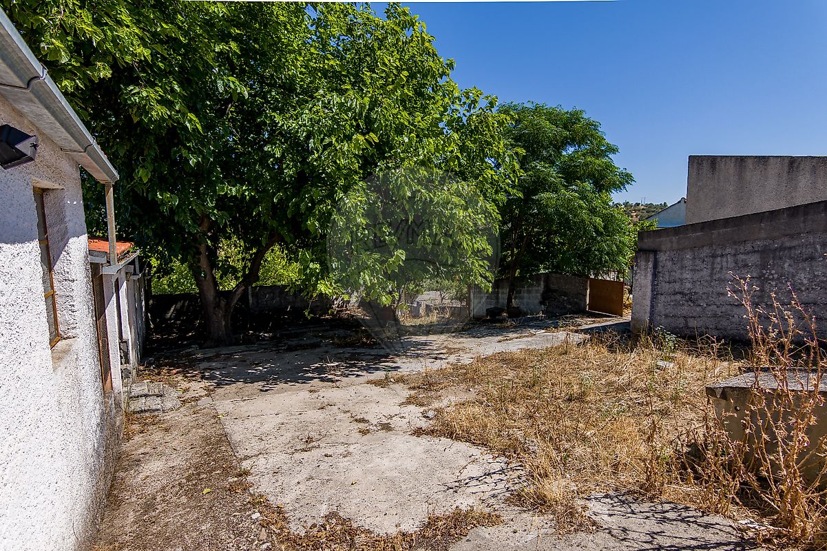listing 124351025-259 picture-0