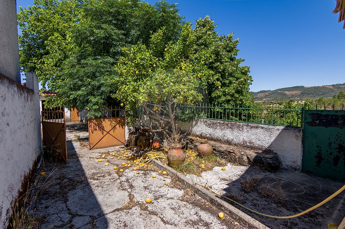 listing 124351025-259 picture-0