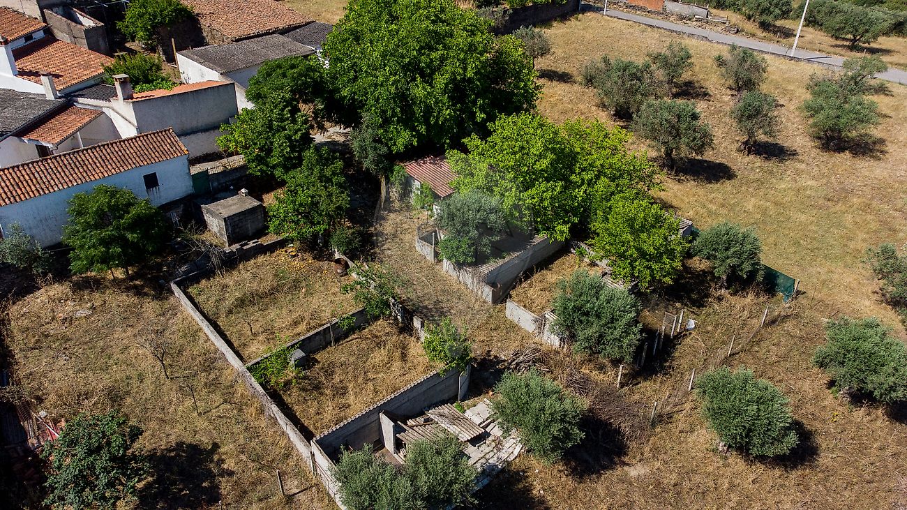 listing 124351025-259 picture-0