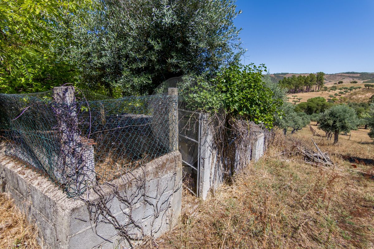 listing 124351025-259 picture-0