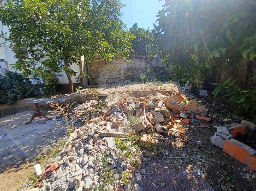 listing 124351025-265 picture-0