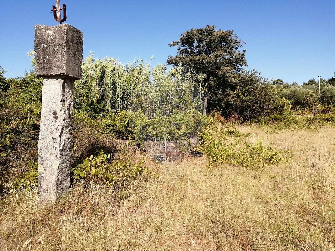 Terreno  à venda em Castelo Branco