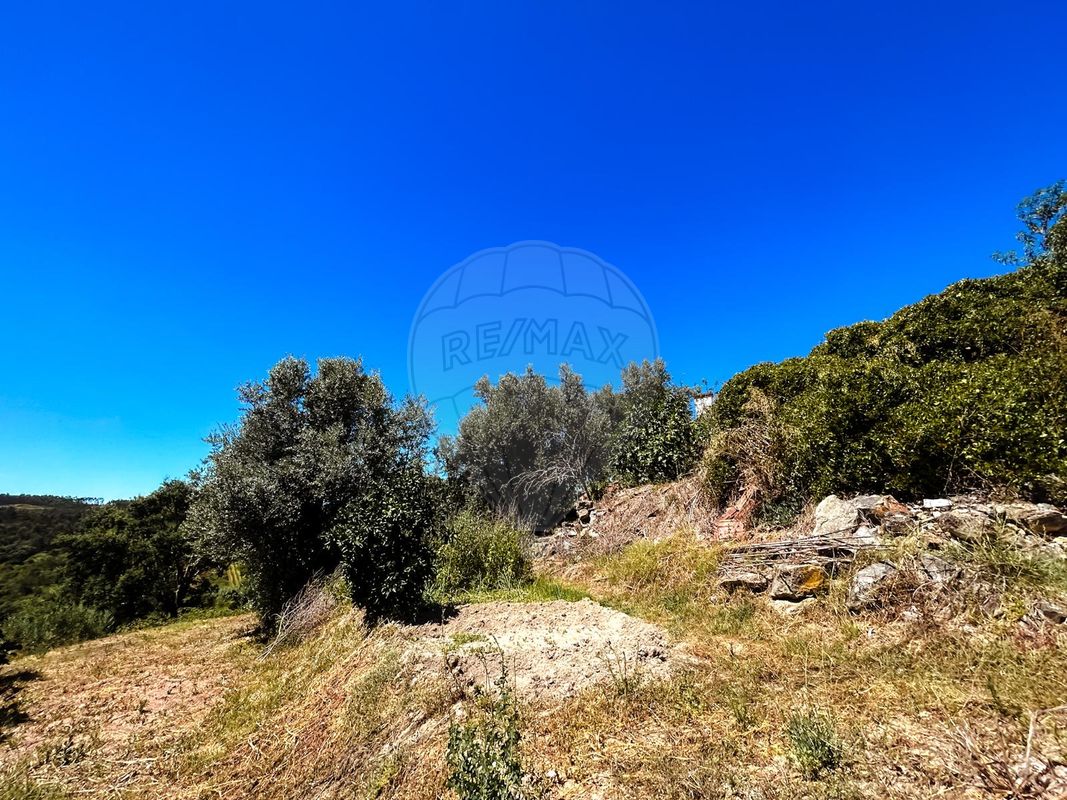 listing 124351039-14 picture-0