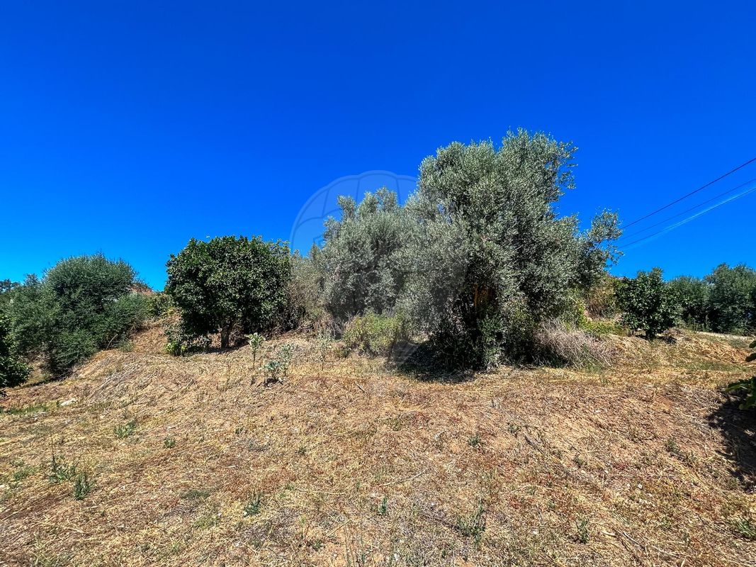 listing 124351039-14 picture-0