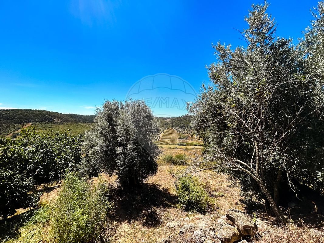 listing 124351039-14 picture-0