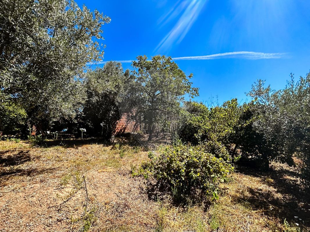 listing 124351039-14 picture-0