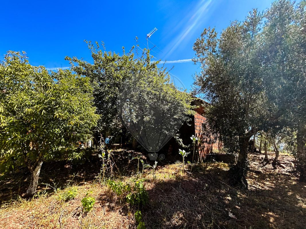 listing 124351039-14 picture-0