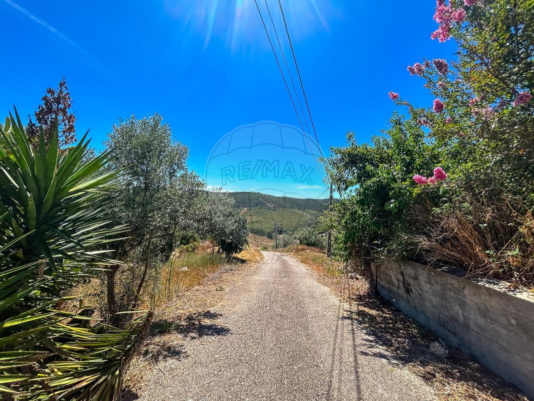 listing 124351039-14 picture-0