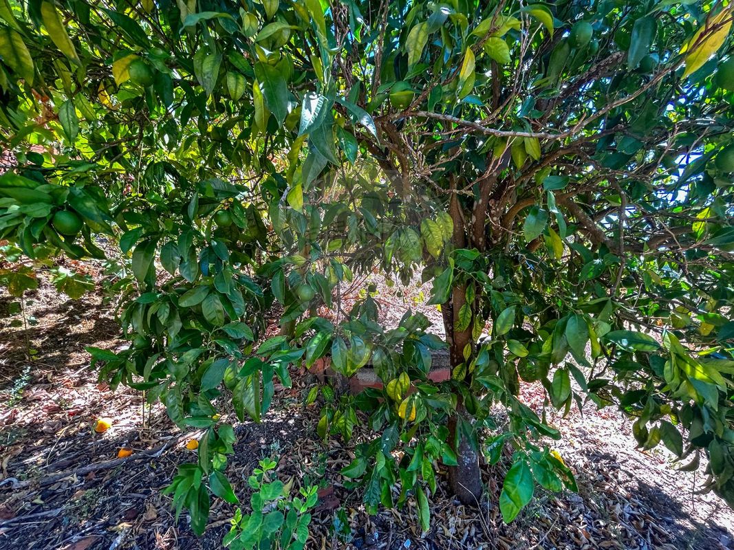 listing 124351039-14 picture-0