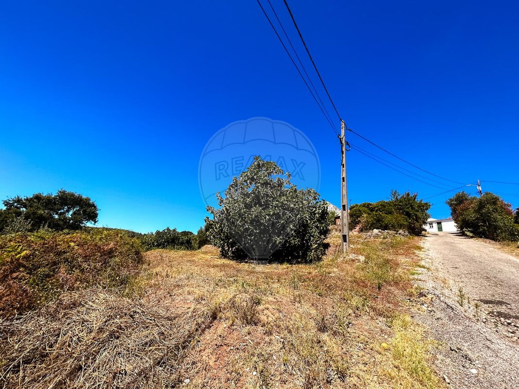 listing 124351039-14 picture-0