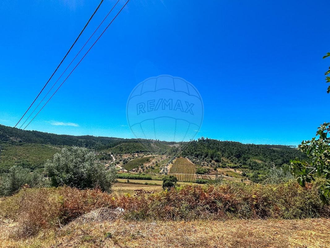 listing 124351039-14 picture-0