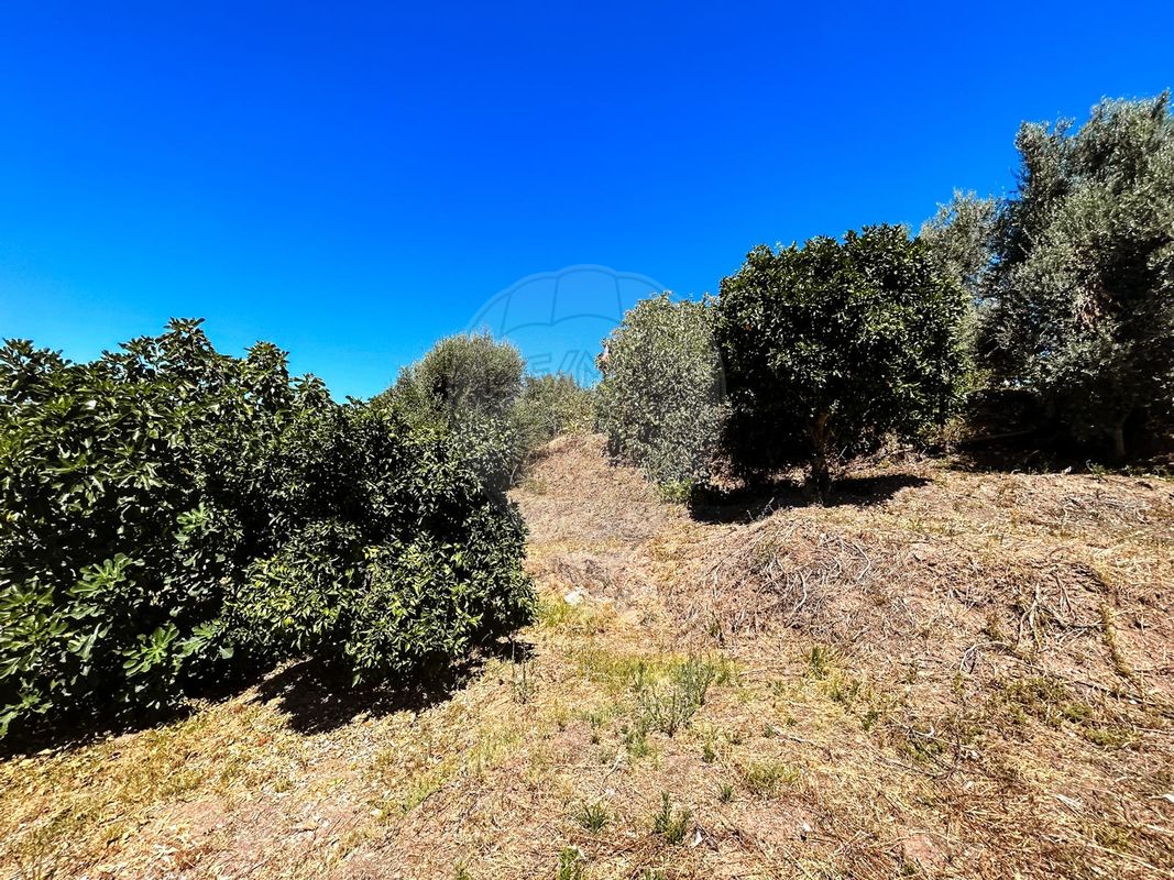 listing 124351039-14 picture-0