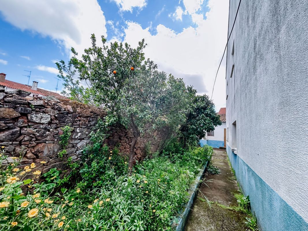 listing 124351039-15 picture-0