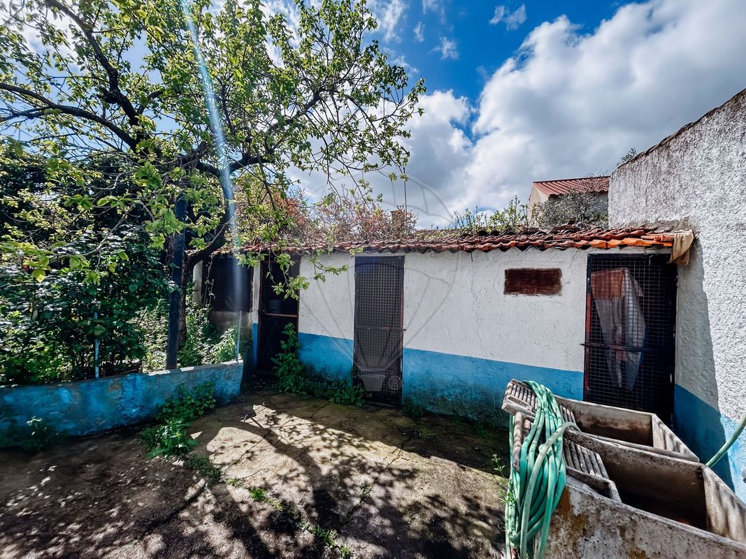 listing 124351039-15 picture-0
